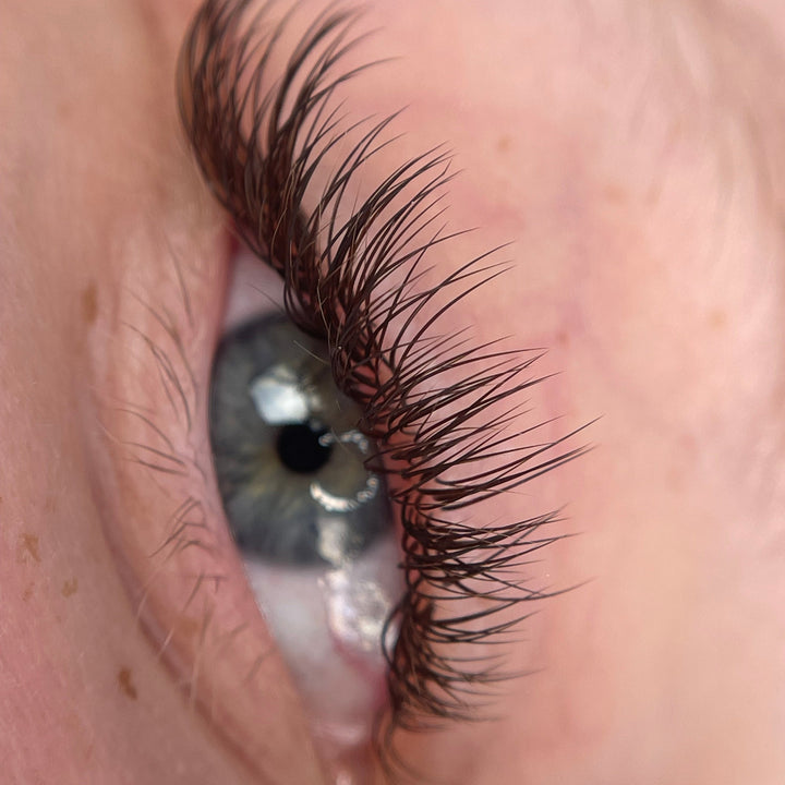 0.15 ☕️ Bandejas de pestañas individuales clásicas marrones