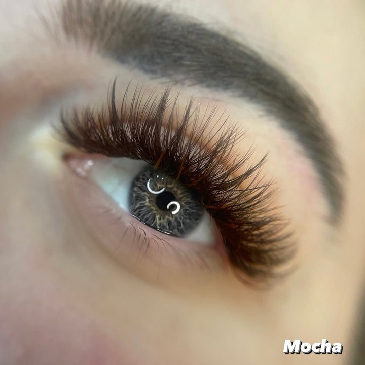 0.02 ☕️ Bandejas de pestañas de longitud única marrones