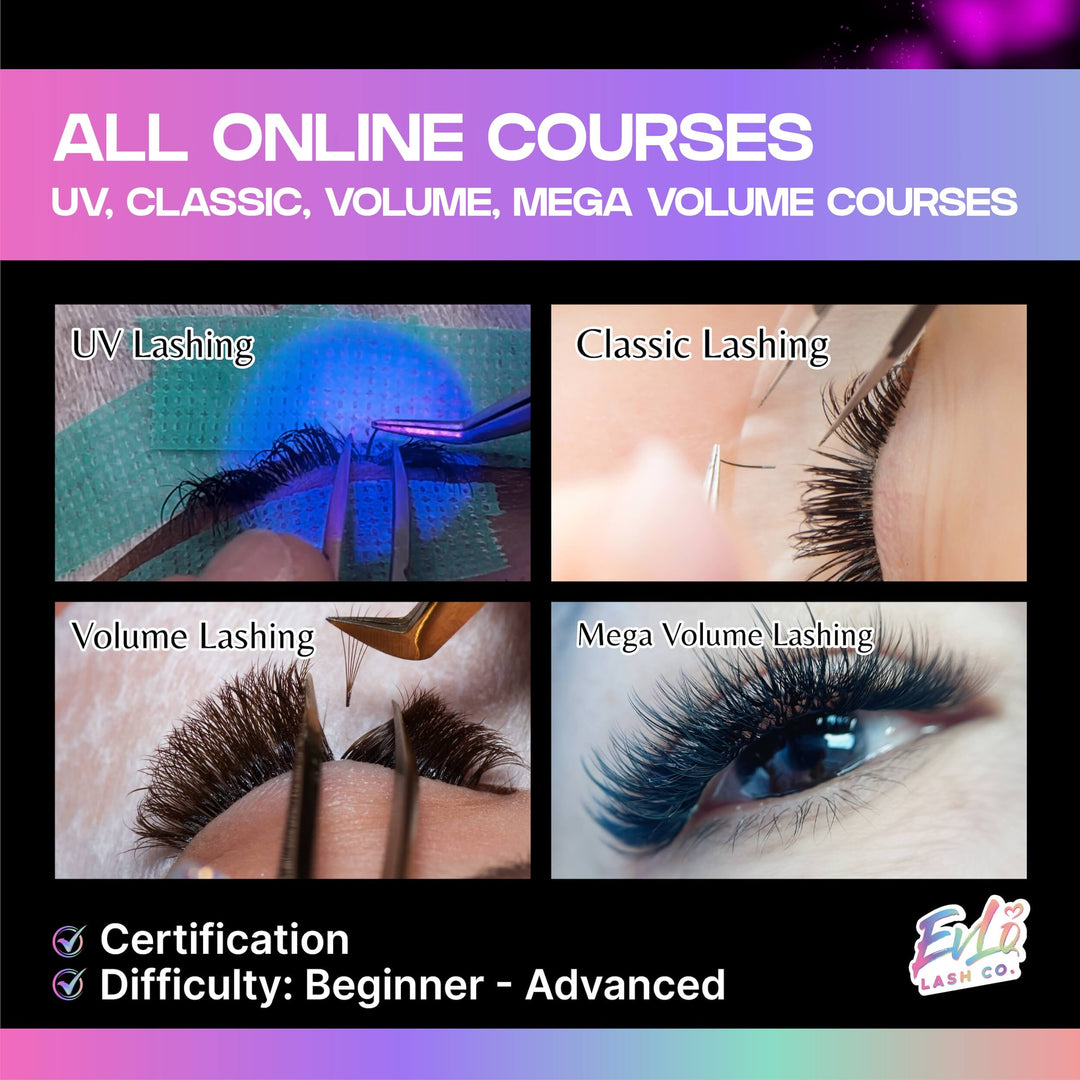 All Online Courses