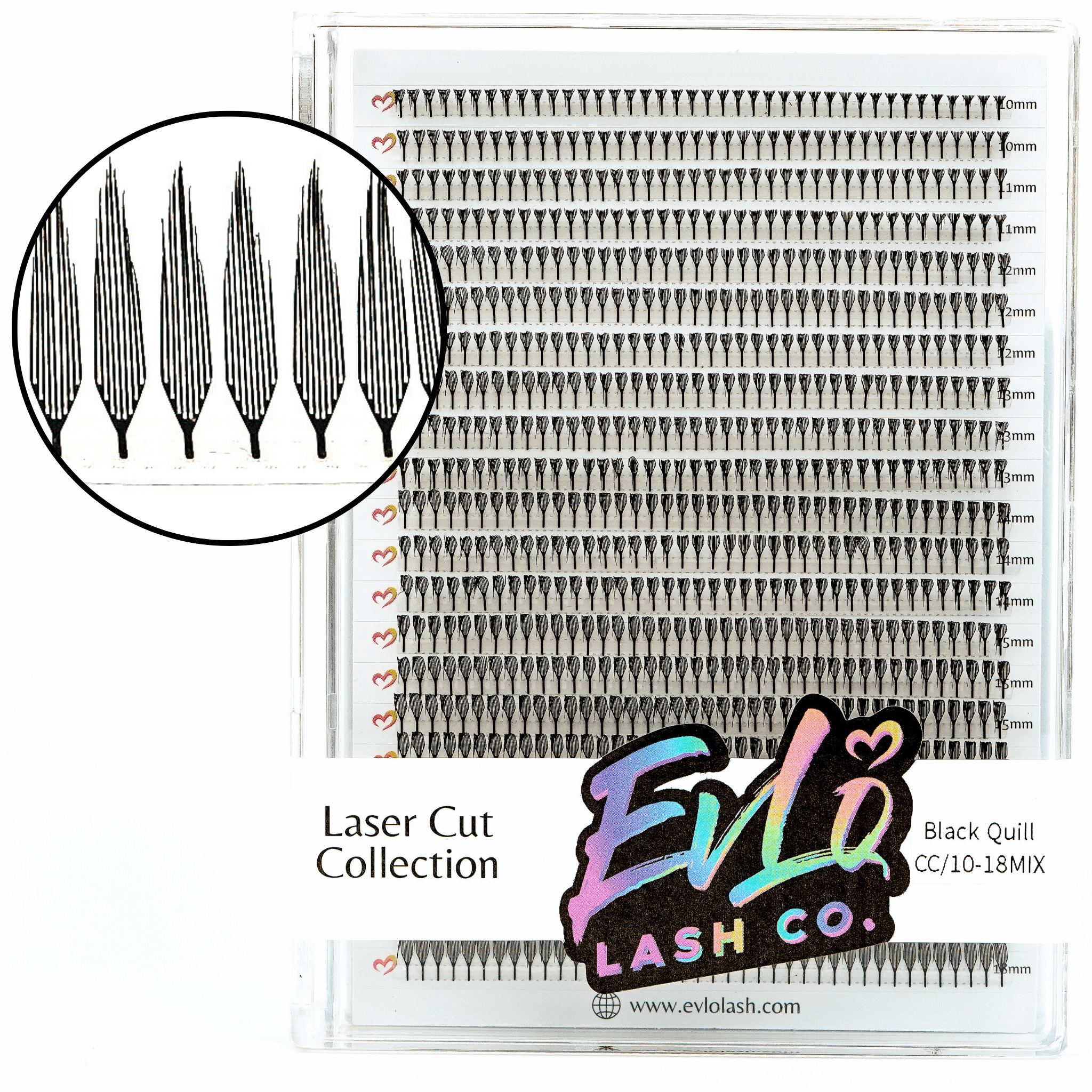 Sculpted Anime Lashes – EvLo Lash Co.